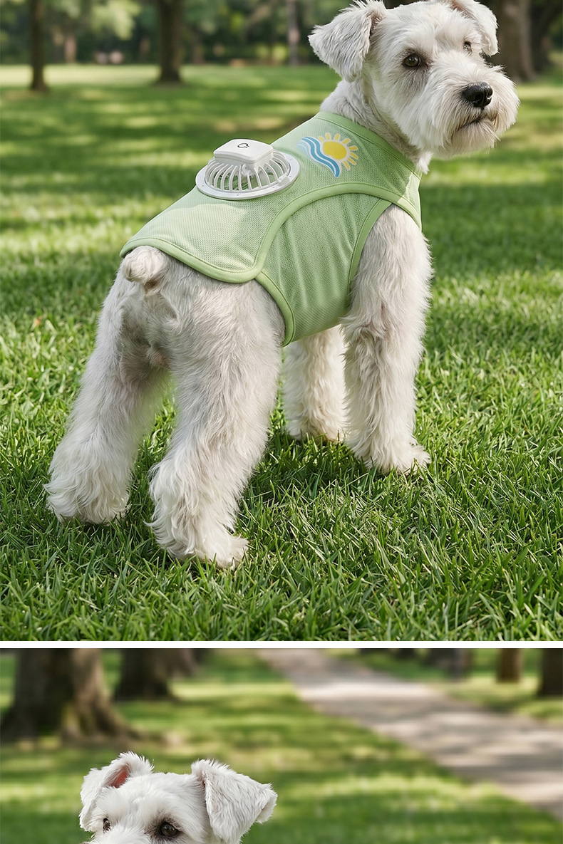 Chó Schnauzer trắng đứng trên bãi cỏ, mặc áo lưới màu xanh cốm có quạt mini gắn bên hông
